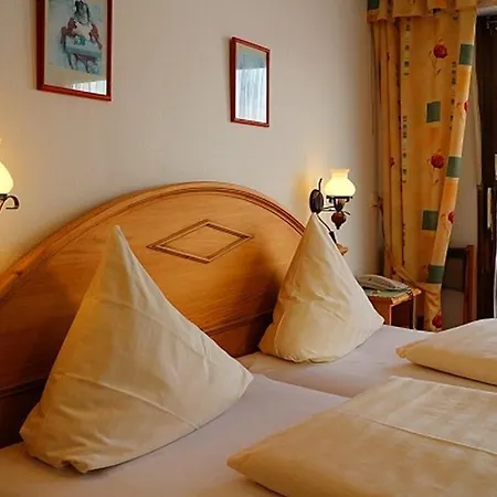 Dachsberger-hof 호텔 3*