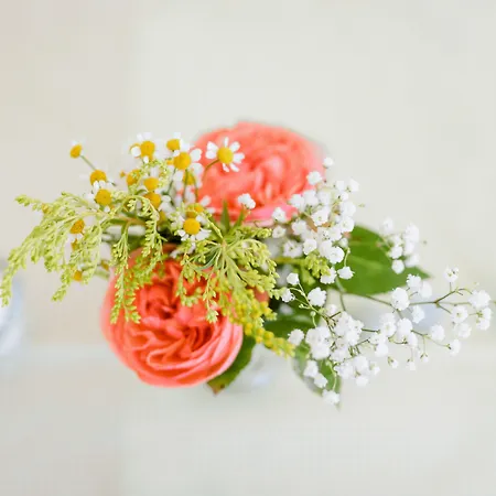 Dachsberger-hof Wittenschwand