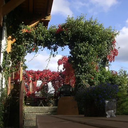 Dachsberger-hof 호텔