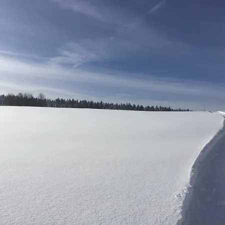Dachsberger-hof 호텔