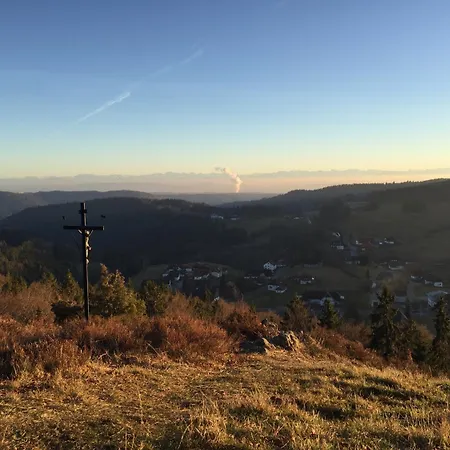 호텔 Dachsberger-hof Wittenschwand