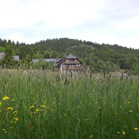 호텔 Dachsberger-hof Wittenschwand