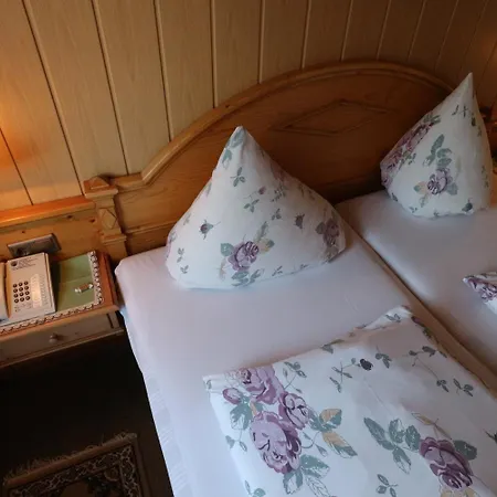 Dachsberger-hof 3* Wittenschwand