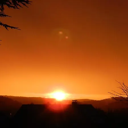 Dachsberger-hof 호텔 Wittenschwand