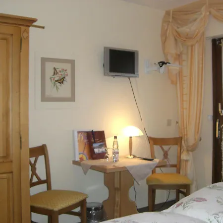 Dachsberger-hof Hotel 3*