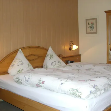 Dachsberger-hof 호텔 3*