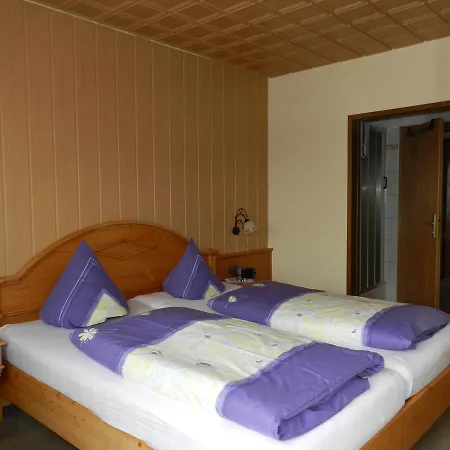 Hotel Dachsberger-hof Wittenschwand