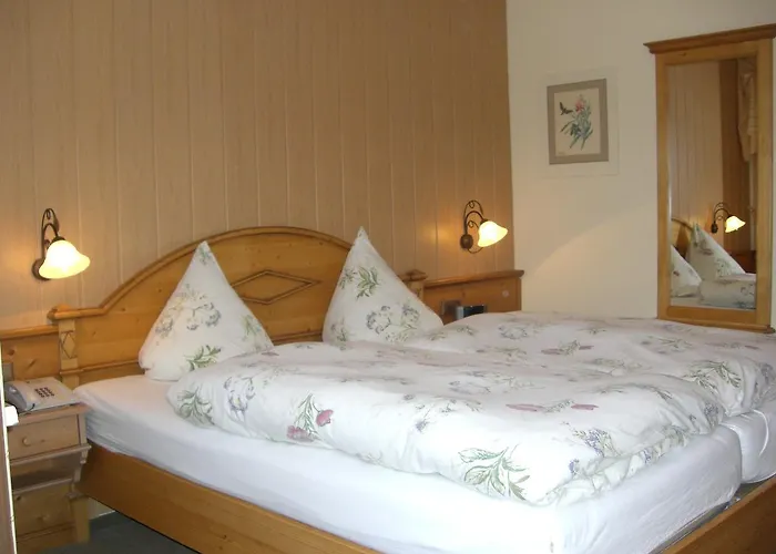 Dachsberger-hof Hotel 3*